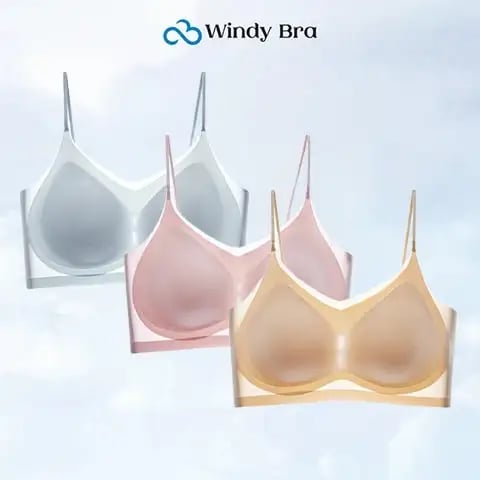 Pack of 3 - WindyBra - Summer seamless ultra-thin plus size ice silk comfort bra