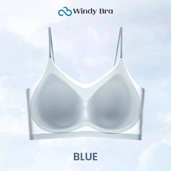 Pack of 3 - WindyBra - Summer seamless ultra-thin plus size ice silk comfort bra
