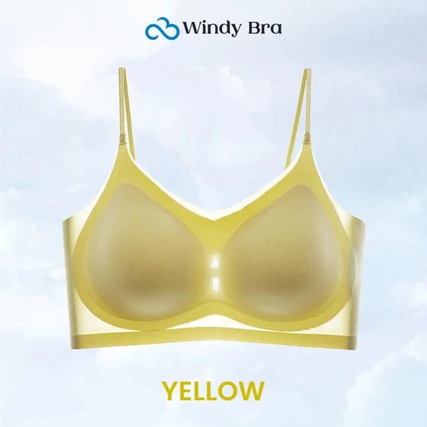 Pack of 3 - WindyBra - Summer seamless ultra-thin plus size ice silk comfort bra